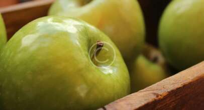 Growing your own organic food